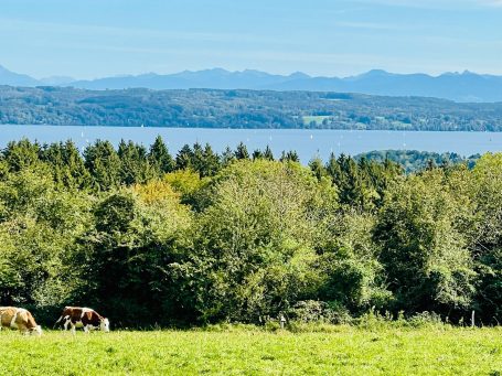 Starnberger See